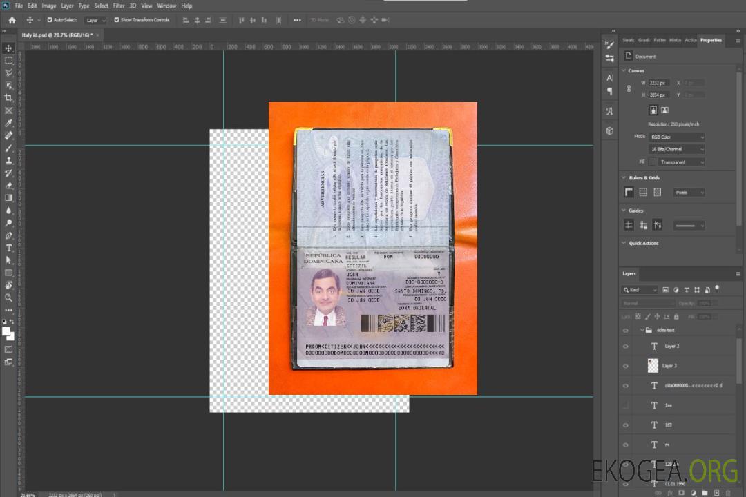 Aperçu de la photo du passeport de la République dominicaine version 2 template Aperçu de la photo du passeport de la République dominicaine version 2 template